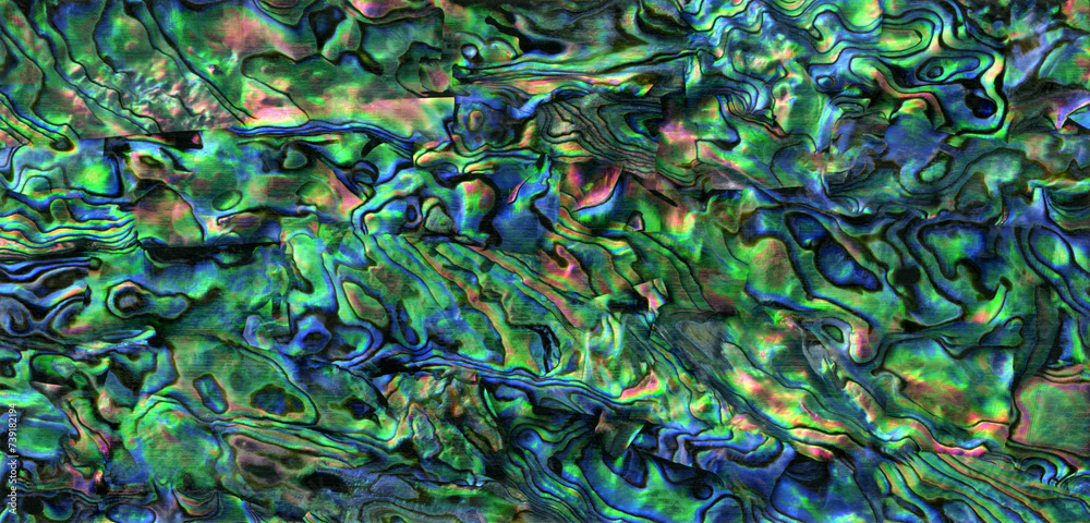 Fototapeta premium 日本の伝統工芸「蒔絵」用の素材、青緑色に輝く螺鈿シート 