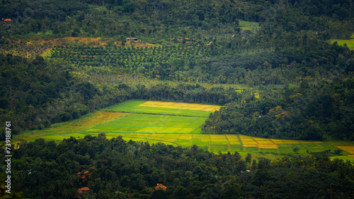 Wallpaper Mural landscape with a field  Torontodigital.ca