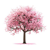 The full length of pink tree isolated on white backgrounds