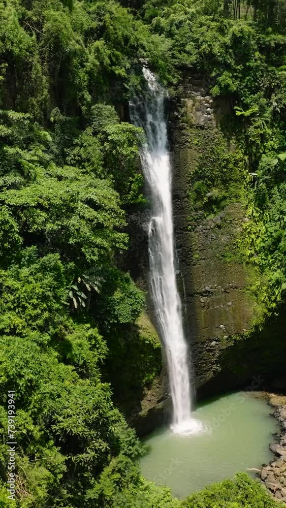 Waterfall in a tropical forest surrounded by green vegetation. Falls in mountain forest. Alalum Falls. Mindanao, Philippines. Vertical view.