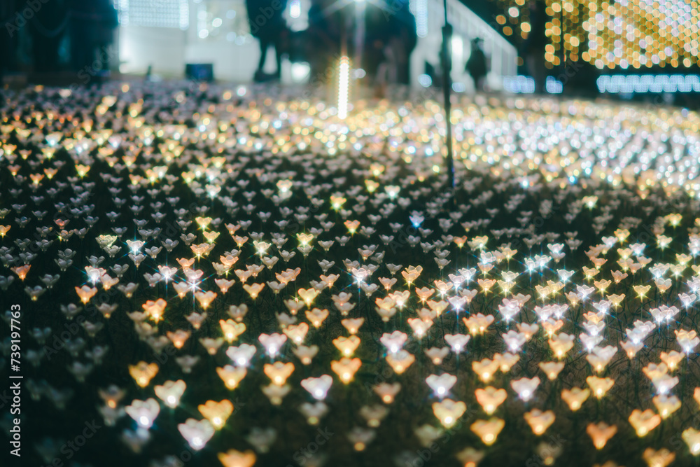 Obraz premium 栃木のカラフルなイルミネーション