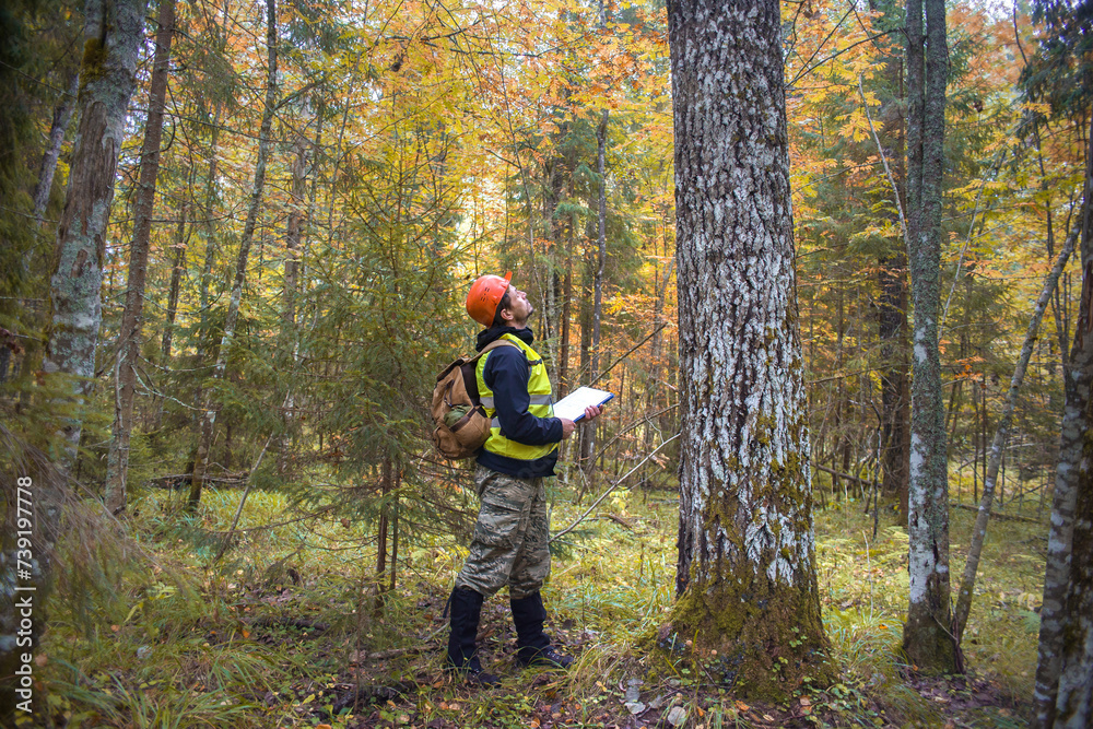 A male ecologist works in the forest.