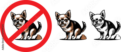 small chihuahua breed dog pooping, prohibition sign