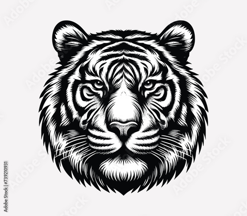  An illustration featuring the tiger's face against a white backdrop. The drawing is clear and simple,