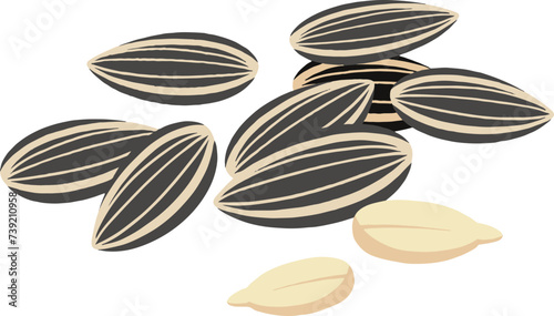 Melon seeds illustration vector material