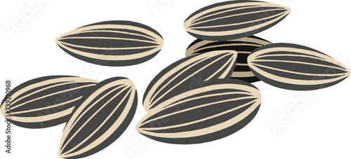 Melon seeds illustration vector material