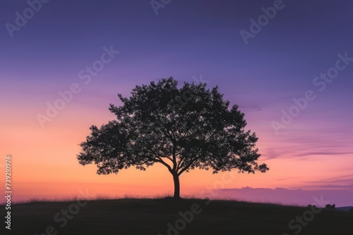 Silhouette of a tree on large flat land, vibrant sunset sky © ARTIFICIAN
