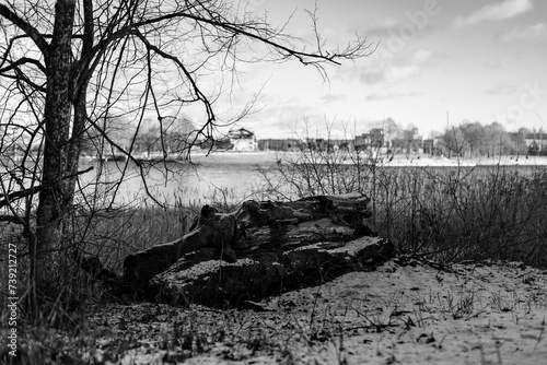Fototapeta Naklejka Na Ścianę i Meble -  Log on the shore of a lake in the forest in winter