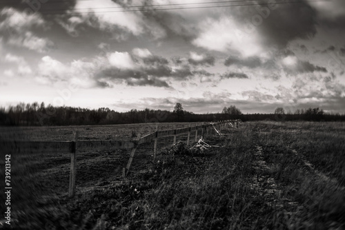 Fototapeta Naklejka Na Ścianę i Meble -  country road in black and white