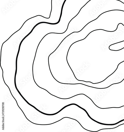 Topographic Map Lines
