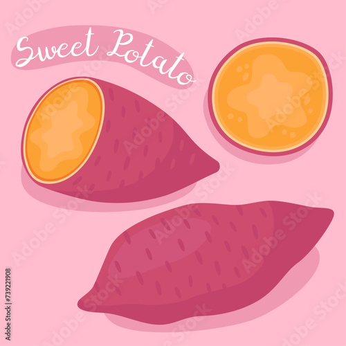 Sweet potatoes. Fresh organic vegetable. Sweet potato with slices. Batata. Ingredient for cooking, dessert. Vector illustration. 