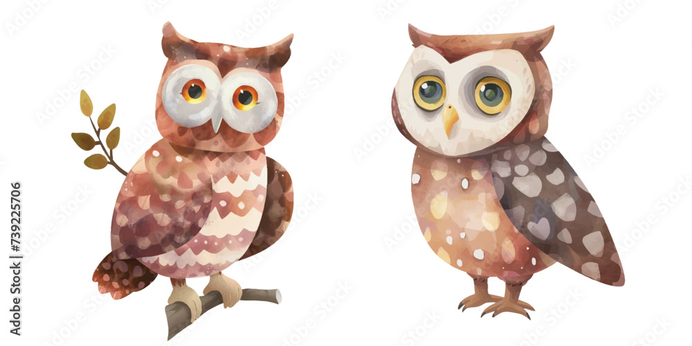 Fototapeta premium cute owl watercolour vector illustration