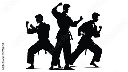 Silhouette of martial art. Kungfu, karate, taekwondo

