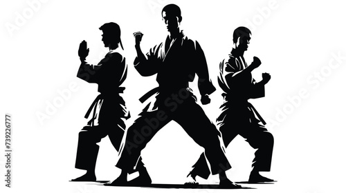 Silhouette of martial art. Kungfu, karate, taekwondo 