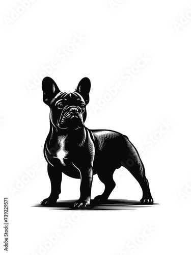 layful Panache: Vectorized French Bulldog Delight