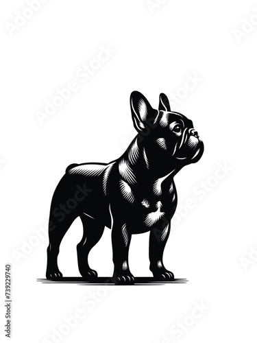 Frenchie Finesse: Elegant French Bulldog Vector Illustration