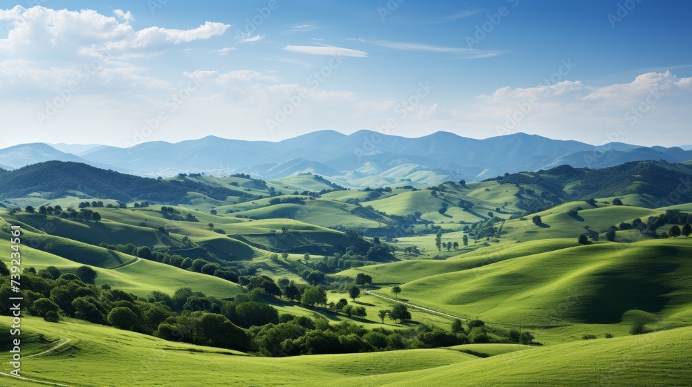 Rolling meadows with wildflowers under a clear blue sky, gentle hills in the distance, symbolizing the beauty and simplicity of pastoral scenes, Photo