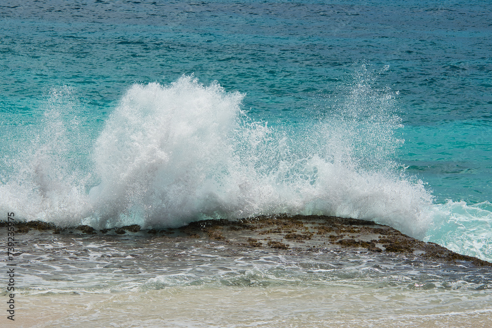 Fototapeta premium Breaking waves on the rocks near the shore, big splash, Mahe Seychelles