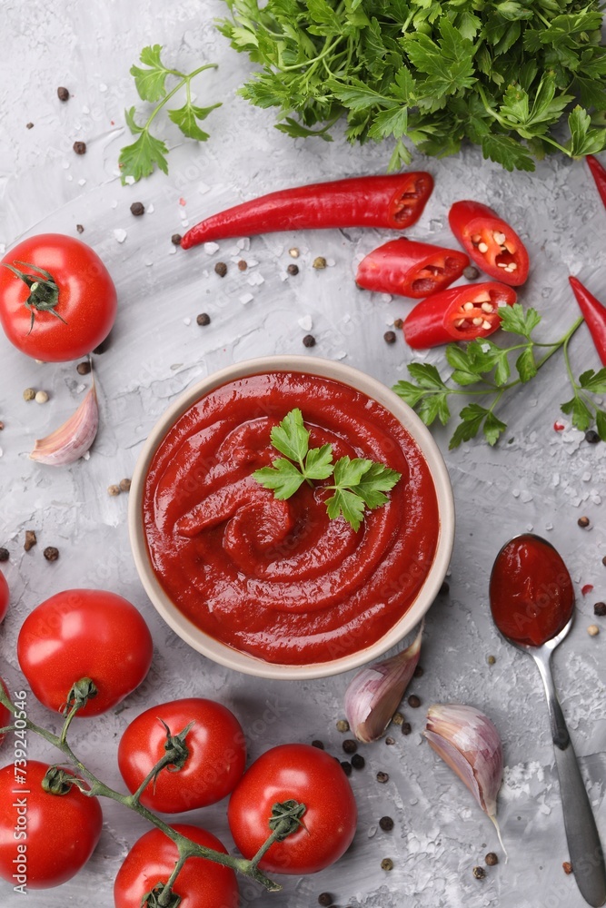 Flat lay composition with organic ketchup in bowl on grey textured table. Tomato sauce Flat lay composition with organic ketchup in bowl on grey textured table. Tomato sauce