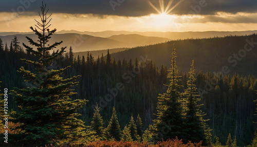 Beauty of dusk settling over the spruce landscape focus on the interplay of shadows and light as the last rays of the sun cast a warm glow on the rugged terrain