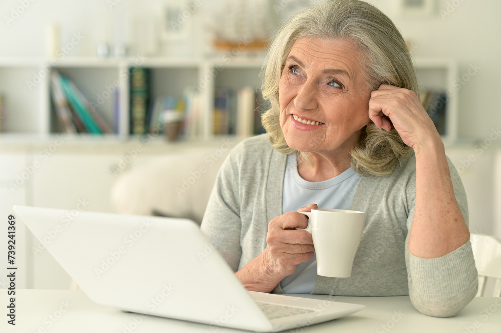 Beautiful senior woman using laptop at home Beautiful senior woman using laptop at home
