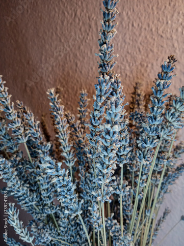 a bunch of lavender in a bouquet