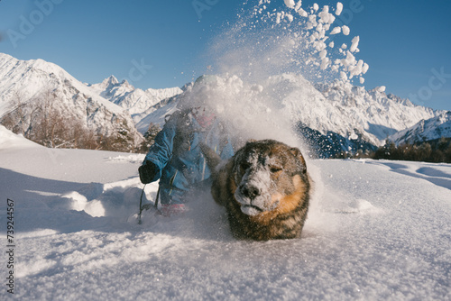 Female snowboarder playing with dog on ski resort, winter sport outdoor, sunny day in mountains