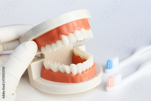 医療イメージ　歯の治療