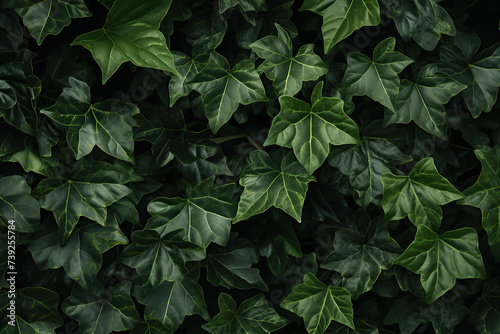 close up horizontal image of a green ivy background Generative AI photo