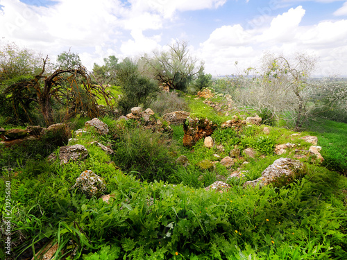 Bright young greenery and ancient ruins шт the Britannia Park