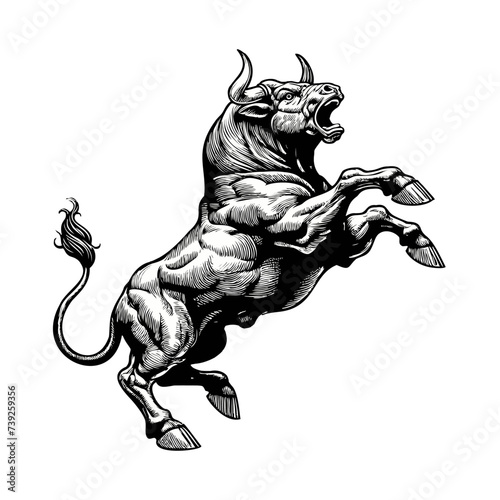 Vintage engraving of exciting bull isolated on white BG