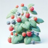 Raspberry Bush with Raspberries. 3D minimalist cute illustration on a light background.