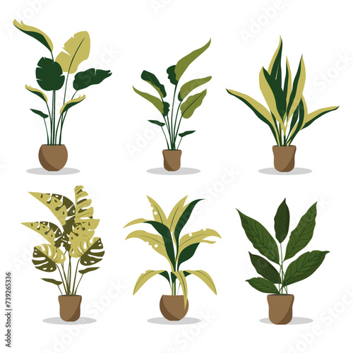 Plants Tropical leaves in stylish planters and pots. Vector illustration