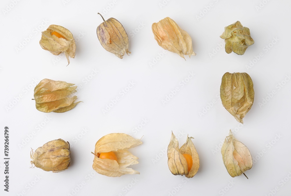 Frame of ripe physalis fruits with calyxes on white background, flat lay. Space for text