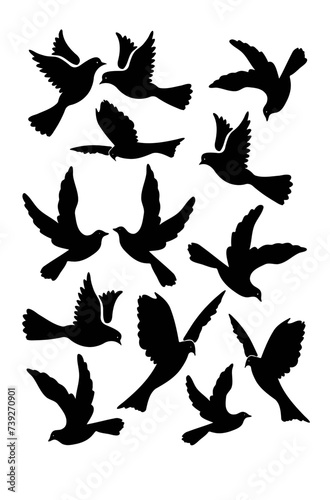 silhouettes of birds