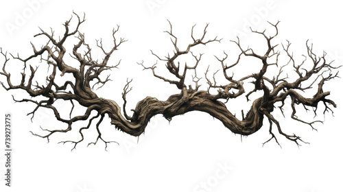 Creepy tree with twisted PNG / transparent