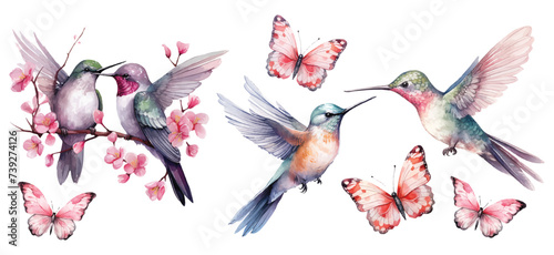 Watercolor hummingbirds and butterflies Valentines day romantic illustration