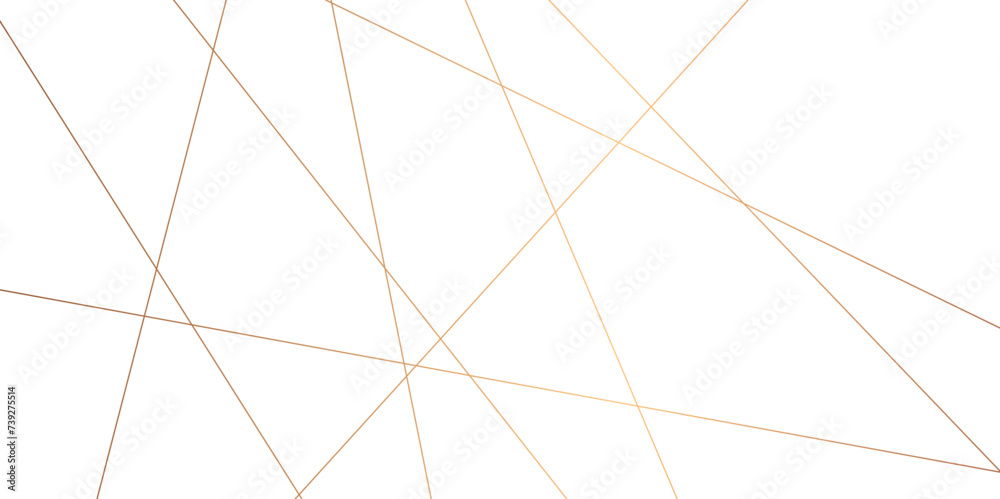 golden chaotic triangle lines abstract geometric pattern textrue. vector illustration. geometric design created using light gold digital net web line tecnology. white color in backdrop. golden chaotic triangle lines abstract geometric pattern textrue. vector illustration. geometric design created using light gold digital net web line tecnology. white color in backdrop.