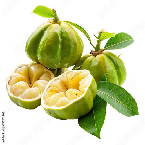 Garcinia, transparent background, isolated image, generative AI
