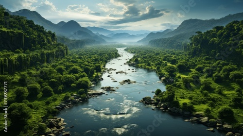 Aerial view of a tropical rainforest, dense canopy of trees, rivers cutting through, showcasing the vastness and richness of tropical nature, Photorealistic, ae © ProVector