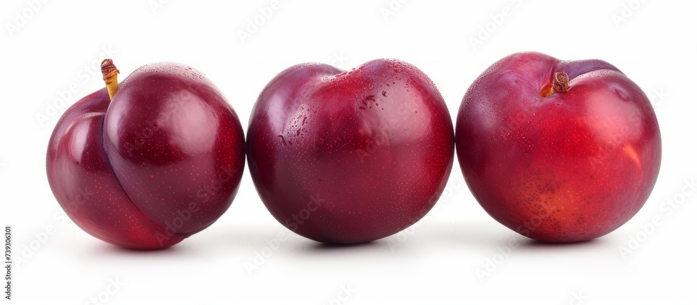 Fresh three plums with natural water droplets, close-up shot of juicy ripe fruits Fresh three plums with natural water droplets, close-up shot of juicy ripe fruits