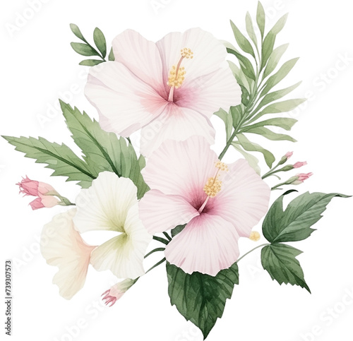 watercolor illustration decorative arrangement of white and pink Hibiscus syriacus and green leaves on transparent background. Florist bouquet. Korean National Day  Memorial Day  and Constitution Day.