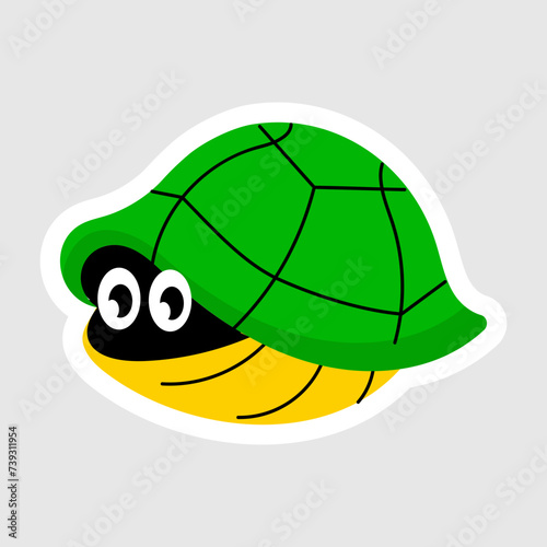 Hiding Turtle 