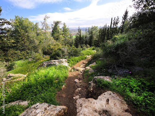 Path in the forest in Britannia Park in Israel