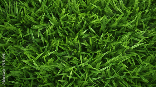 Landscape photo of grass