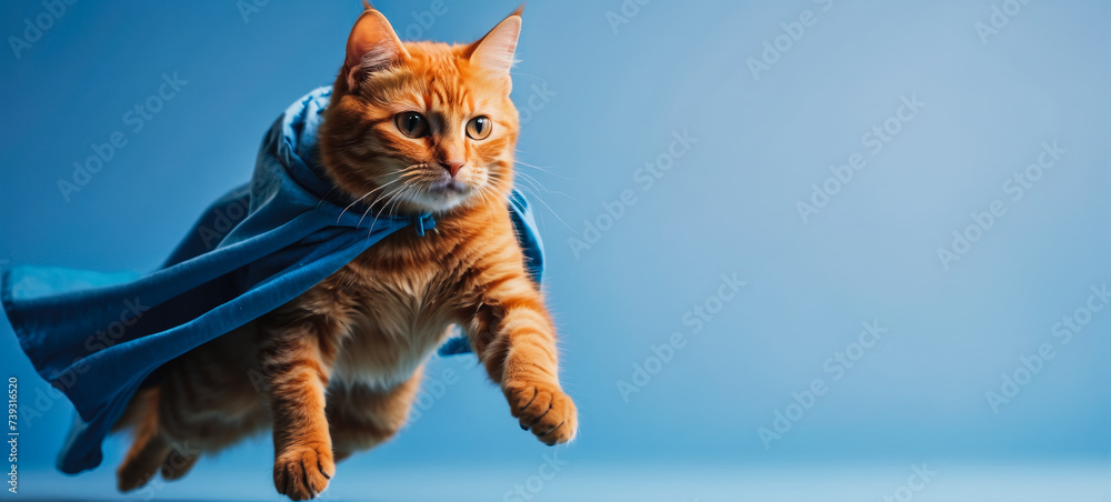Superhero cat, cute Siberian red tabby kitten in a blue cloak and mask jumps and flies on a blue background with copy space. Concept of superhero, super cat, leader, funny animal shot in studio