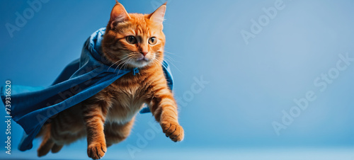 Obraz na płótnie Superhero cat, cute Siberian red tabby kitten in a blue cloak and mask jumps and flies on a blue background with copy space. Concept of superhero, super cat, leader, funny animal shot in studio w salonie