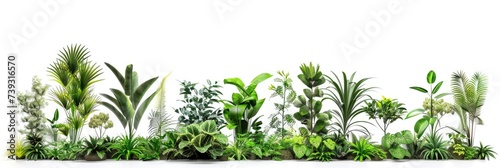 Exotic Plant Collection