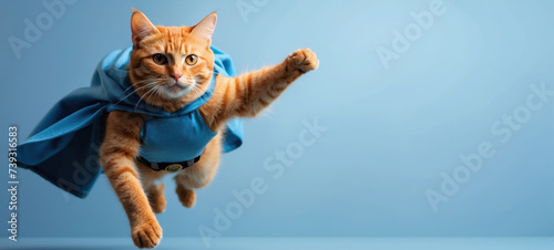 Superhero cat, cute Siberian red tabby kitten in a blue cloak and mask jumps and flies on a blue background with copy space. Concept of superhero, super cat, leader, funny animal shot in studio