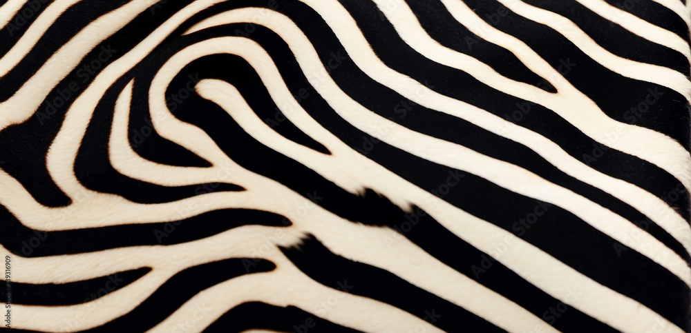 Trendy zebra skin pattern background . Animal fur, texture background for Fabric design, wrapping paper, textile and wallpaper, extra wide